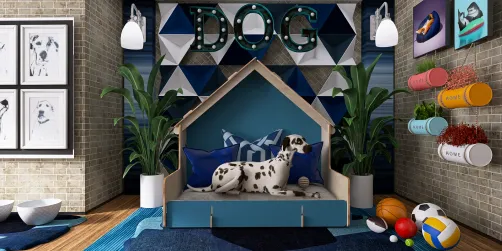Dog room