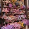 Home Design Lover