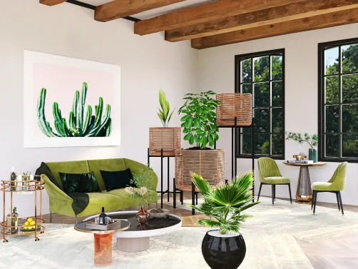 The Cactus 🌵