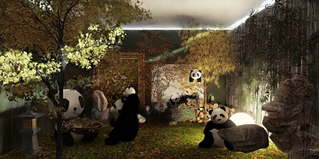 Panda rainforest 