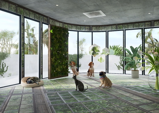 small  space  for  animals  Design Rendering