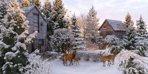 Norway......winter