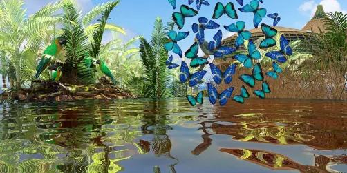 Whispers of the Tropics