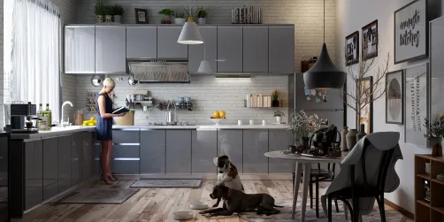 Apartment Kitchen 