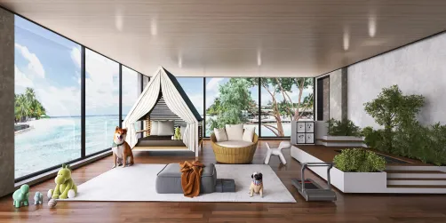 Dog Room