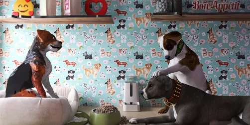 educando con cariño y paciencia 🥰🐕🐶😍