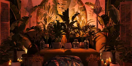 🌴🧡🌴🧡🌴🧡🌴