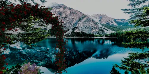 L for Lake