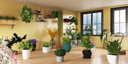 Home garden 