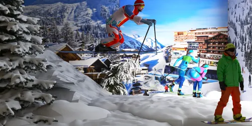 Ski enthusiast’s room