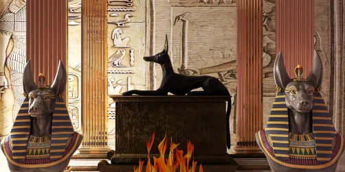 Pharaoh hound💛💫🌙 el perro del faraón 
