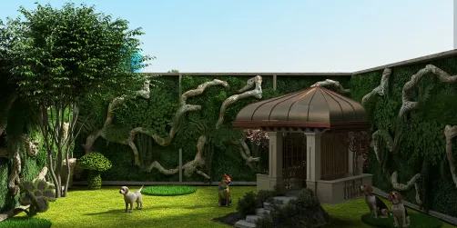 Dog House 