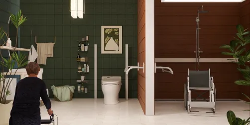 bathroom adapted for the elderly