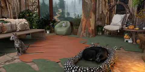cat and dog resting in a cozy living room with natural elements, featuring a rustic design and soft textures, ideal for a warm and inviting interior decor atmosphere, utilizing Homestyler's real-time 3D rendering feature.