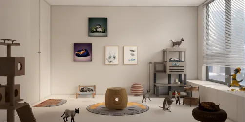 cats small room......😽😽