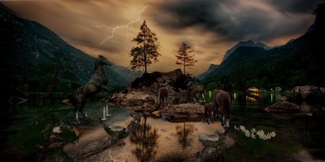 Wild Mustangs… 