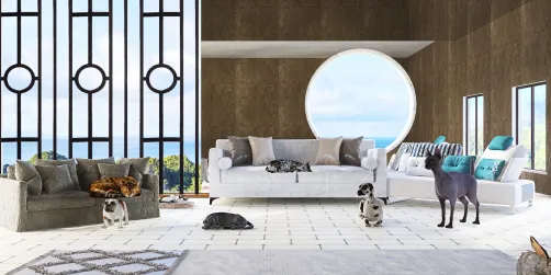 lugar para gatos a cachorro 