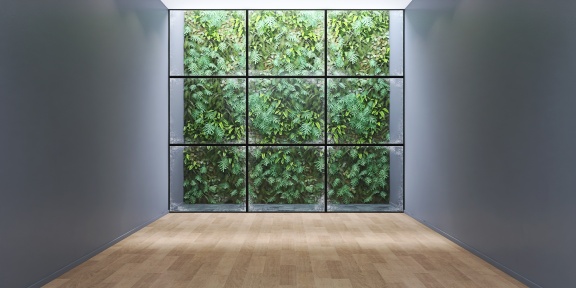 Weekly Room-Green Wall