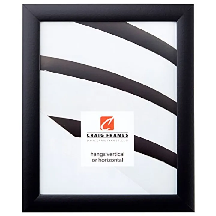 Craig Frames Contemporary Picture Frame, 20 x 30 Inch, Black