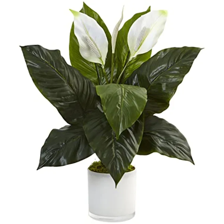 Nearly Natural Spathiphyllum Artificial Flowering Peace Lily in Glossy Glass Planter