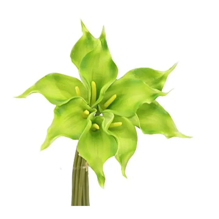 Angel Isabella Real Touch Calla Lily, Lifelike Artificial Flowers, Large Blooms, Perfect for Home Decoration, Centerpieces, Bouquets, Wreath Arrangements - 16-inch, 10 Stems/Bunch (Apple Green)