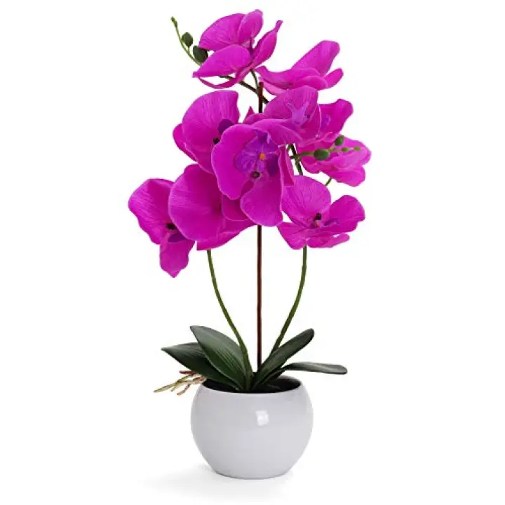 Bornbridge Artificial Orchid - Fake Plant With Real Touch Flowers - Faux Long Stem Artificial Flowers - Potted Plastic Orchid (Single, Violet - Large)