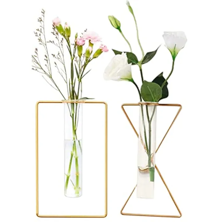 yaocoral 2 Pack Nordic Wall Vase Hanging Geometric Gold Flower Vase Wall Mount Metal Frame Vases Hydroponic Glass Bud Vase Decor for Home Wedding Farmhouse