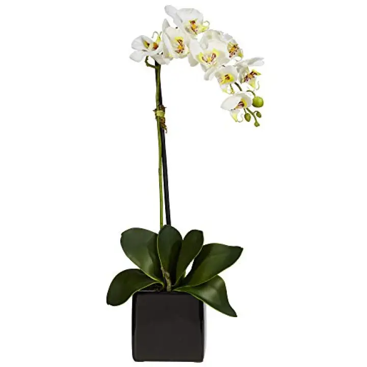 Nearly Natural 20in. Orchid Artificial Arrangement in Black Planter, White