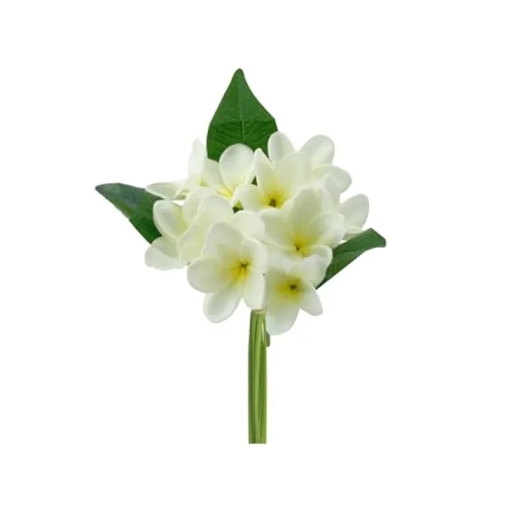 Angel Isabella Pack of 10 Stems-Real Touch Artificial Frangipani Plumeria Bundle(Natural White Yellow Center)