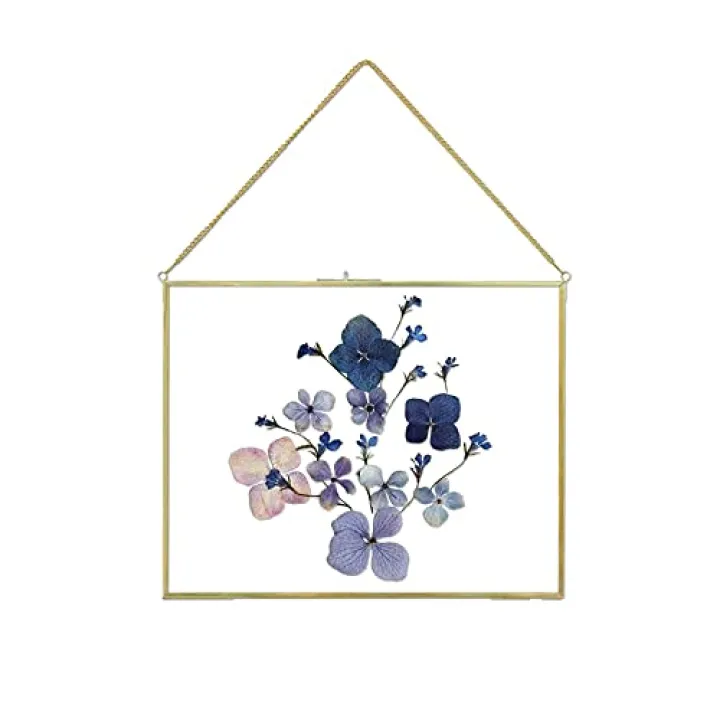 Jajamy 11x14 Inch Pressed Flowers Glass Picture Frames for Artwork Certificate, Horizontal Gold Brass Double Glass Clip Frame, Wall Hanging Dried Flower Plant Specimen Vintage Modern Geometric Decor