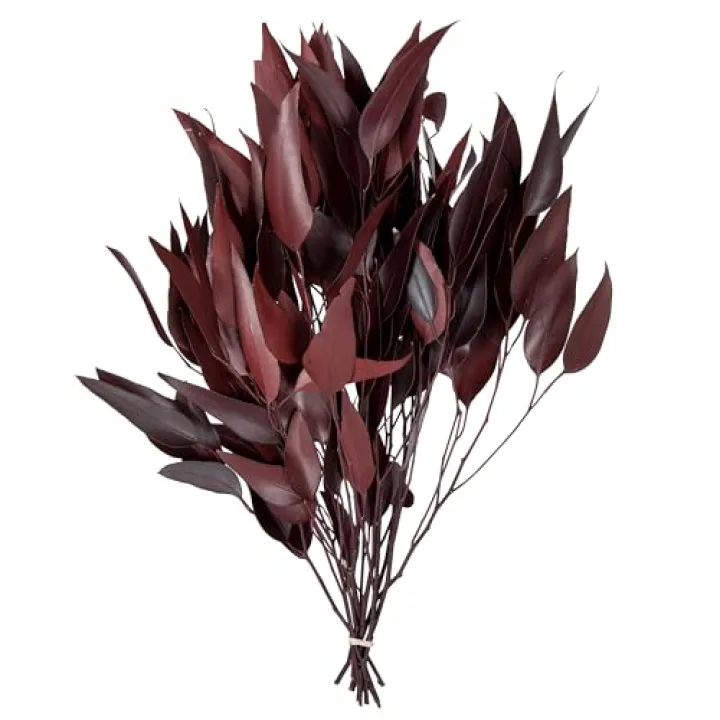 Vickerman 18" Red Weeping Willow Eucalyptus - 5-6 oz Per Pack - Red Preserved Foliage Floral Decor - Burgundy Fall Decor - Natural Botanicals - Weeping Willow