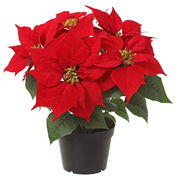 TenWaterloo 14 Inch Artificial Red Velvet Christmas Poinsettia Plant in Nursery Pot