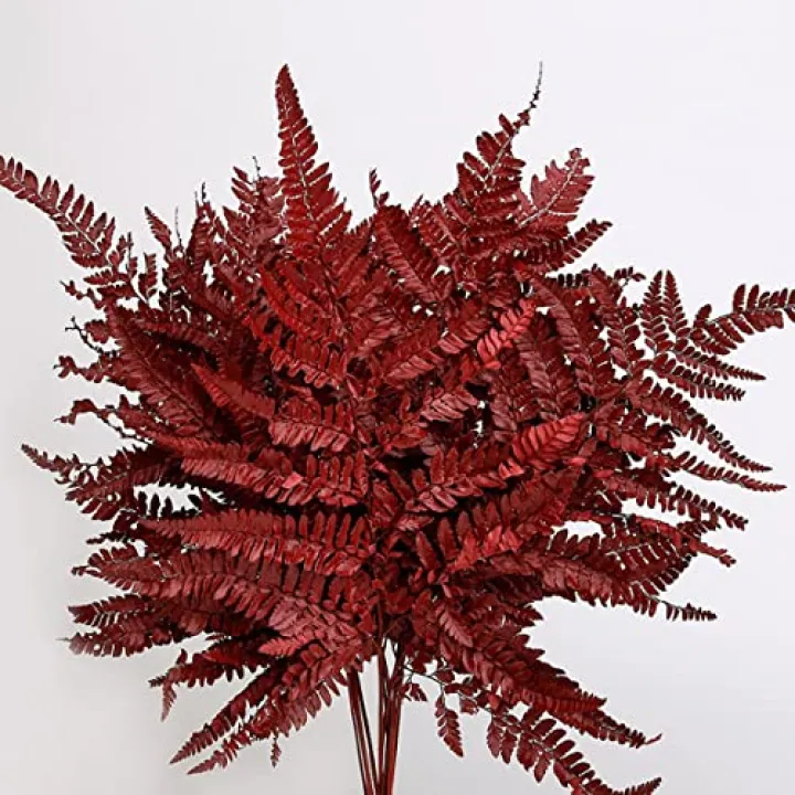 Preserved Real Green Ferns Dried Green Fern Tips Stems Wedding Garlands Home Decorations Bouquets Flower Arrangements Wall Hanging Dried (Red)