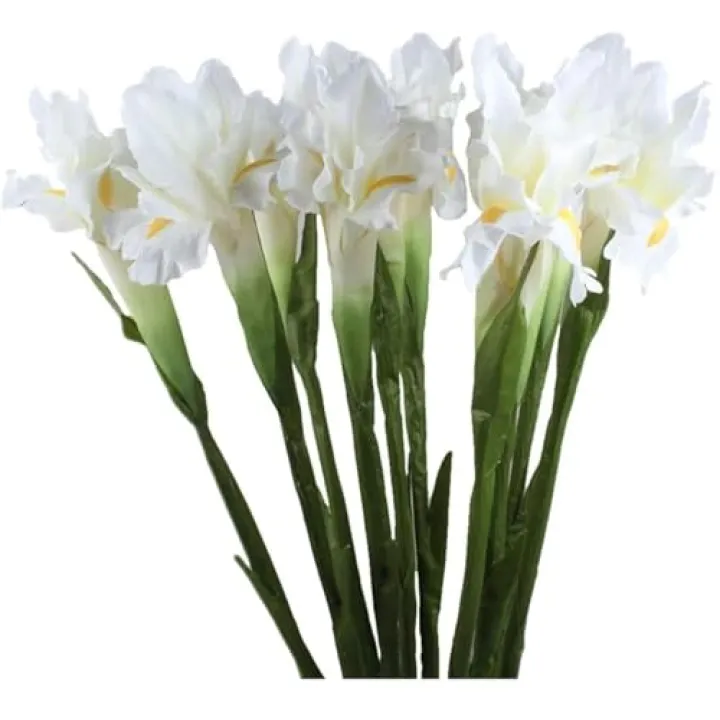 Xidmold 4 Bundle Real Touch Long Stems Iris Flower Silk Artificial Ireland Irish Iris Fake Flower for Wedding Decor Home Flower Arrangements Decoration (White)