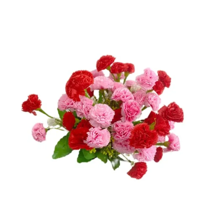 Rikyo 4 Bunches Artificial Silk Flower Carnations,14 inch Bouquet and Green Leaf for Home Party,Bridal Wedding Holding Flowers Festival Decoration with 12 Per Bunch Flower (Pink+Red)