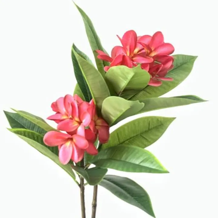 XIYUAN 35.5 Inch Artificial Flowers Artificial Frangipani Flower 2 Stems Lifelike Real Touch Artificial Plumeria Flowers for Home Party Wedding Bouquet Home Decoration (Red)