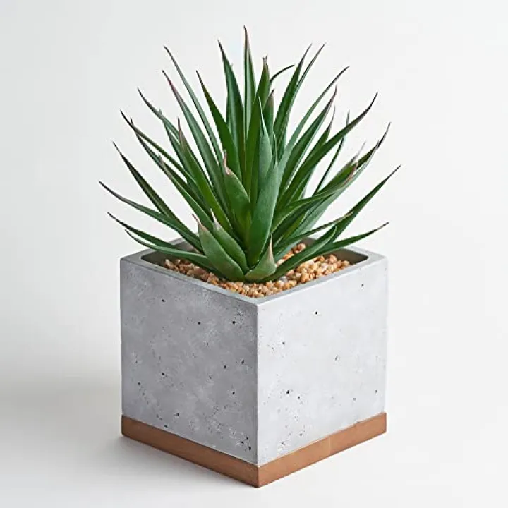 Seirai Living Co. 8 Inch Artificial Succulents in Pots, Artificial Plant Decor, Faux Succulents Plants Artificial, Fake Office Desk Plant, Coffee Table Shelf Decor (Sword Grass)
