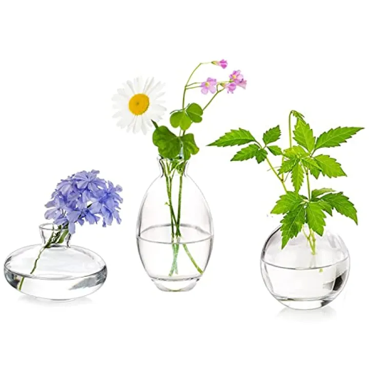 Glass Bud Vases Set of 3, Hewory Cute Clear Small Vases Handmade, Mini Glass Flower Vase for Floral Arrangement, Tiny Centerpiece for Wedding Party Events Home Office Table Decor (Not Include Flower)