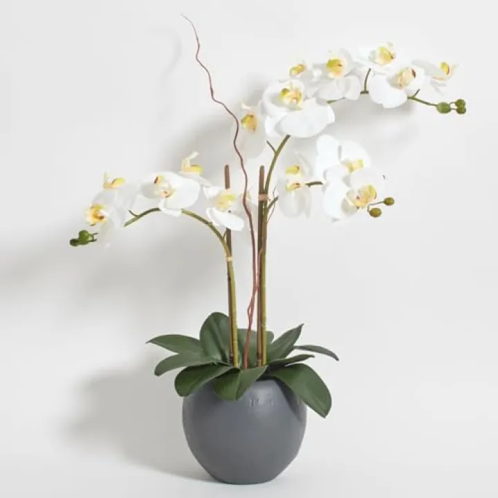 CG Hunter Faux White Orchid Plant, Premium Artificial Indoor Flower Display Stands 25-Inches with Beautiful Sculptural Blooms and Foliage That Lasts Forever, Grey Planter Pot Included