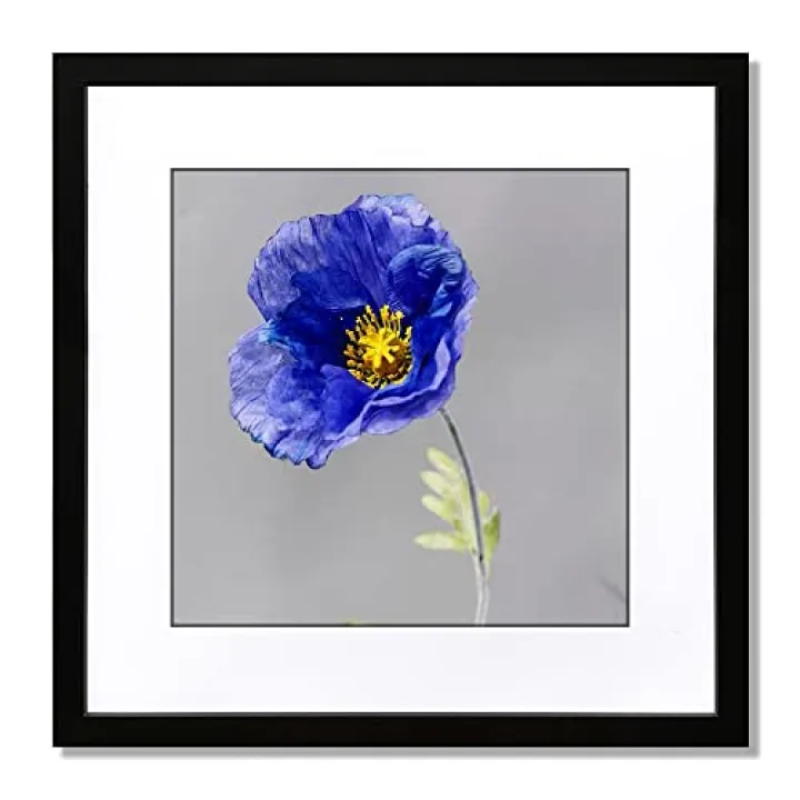 VNVNK 19x19 Frame Black, Perfect for 19x19 Inch Picture without Mat or 15x15 Inch Picture with Mat, Home Wall Decor Picture Frame-1 PCS