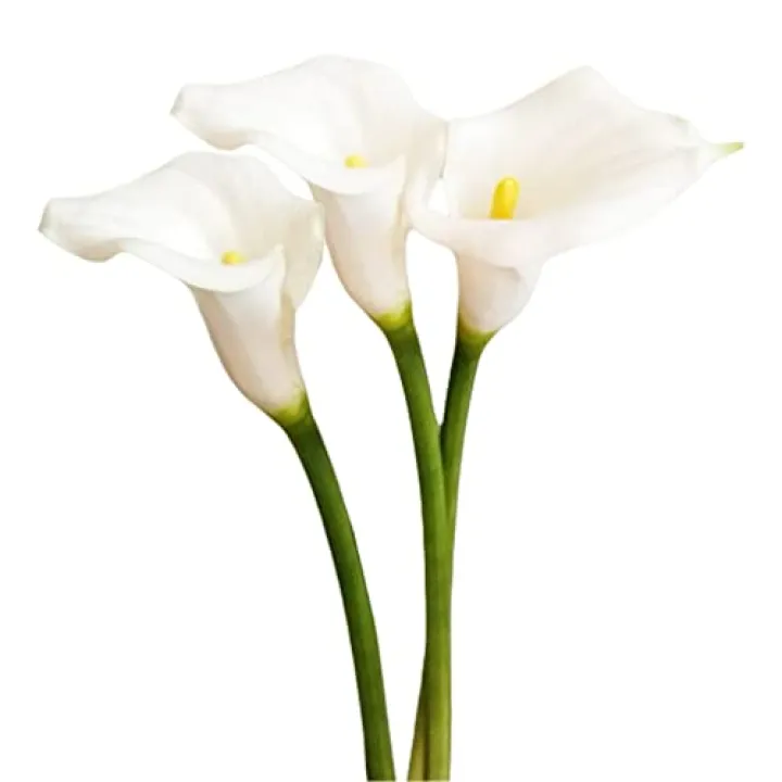 XZJMY 3Pcs Artificial Calla Lily Flowers,25~27''Long Stem Calla Lilies Artificial Flower, Fake Latex Flowers for DIY Wedding Bouquet Party Home Decor(White)