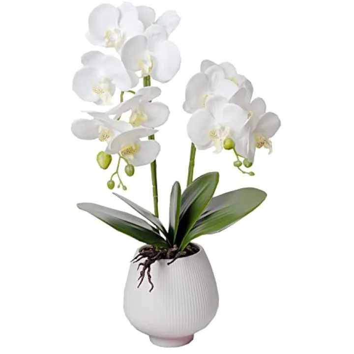 BUCHIXC Orchid Artificial Orchids Flowers with Vase White Phalaenopsis Plant Silk Faux Orchids Fake Flowers Arrangements for Home Decoration Living Room Office Bedroom Bathroom Kitchen Dining Room