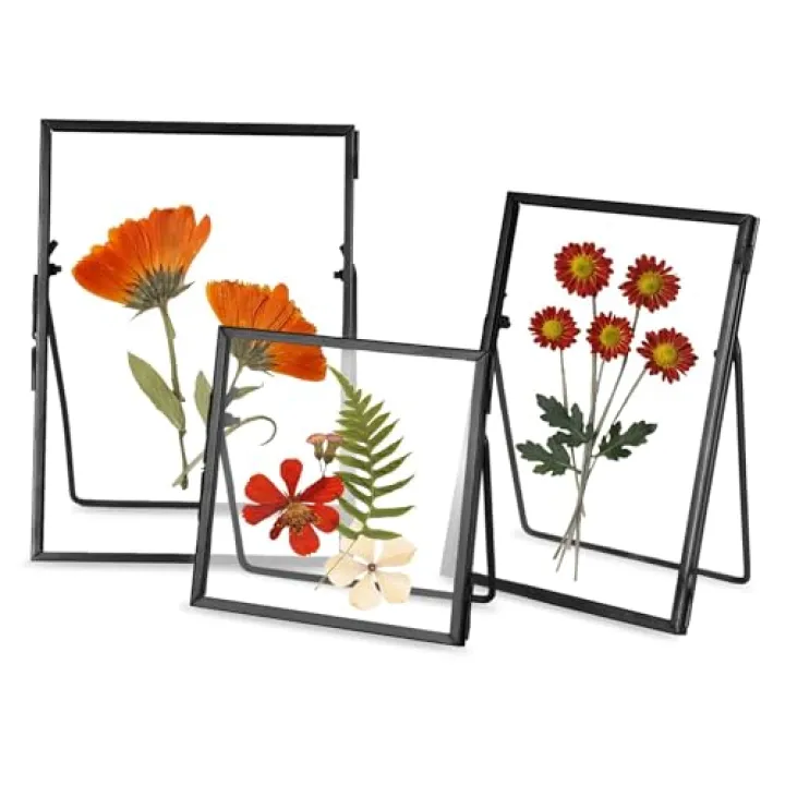 REDHUGO Handmade Glass Frame Set, Double Glass Floating Picture Frame, Brass, Standing Frame, Small Picture Frame, Gifts for Family, 4x4, 4x6, 5x7, Black