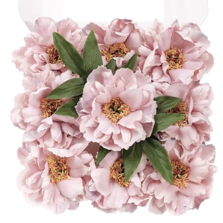 TINGE TIME Artificial Flowers 9pcs Silk Peony Fake Flower for DIY Wedding Craft Bridal Bouquets Centerpieces Arrangements Party Baby Shower Home Decorations (Rouge Pink)