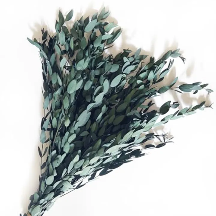 Birtlynn Preserved Dried Eucalyptus Greenery Stems, 20+ Pcs 16 inches Natural Long Lasting Eucalyptus Bundles for Vase Arrangements Home Decoration Photo Props Parties and Weddings, DIY Décor-Blue