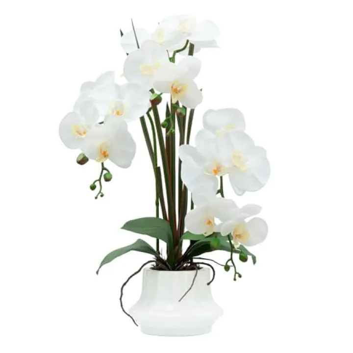CXGS Artificial Orchid Flower Plant 20.9'' Realistic Latex Faux Orchids in Ceramic Vase White Fake Phalaenopsis Flower Arrangement Orchids with Spotted Stems for Centerpiece Table Home Indoor Decor