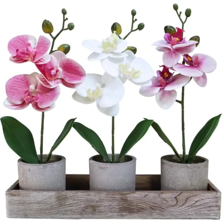 Winlyn Set of 3 Small Artificial Orchid Potted Plants Arrangement with Rustic Wood Planter Box Real Touch Faux Phalaenopsis Moth Orchid Flowers in Pots for Home Office Desk Shelf Table Centerpiece