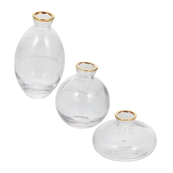 3pcs Decorative Hydroponics Glass Flower Vase Set for Elegant Miniature Planter for Dried Flowers and Chic Modern Decor for Living Room and Study Room