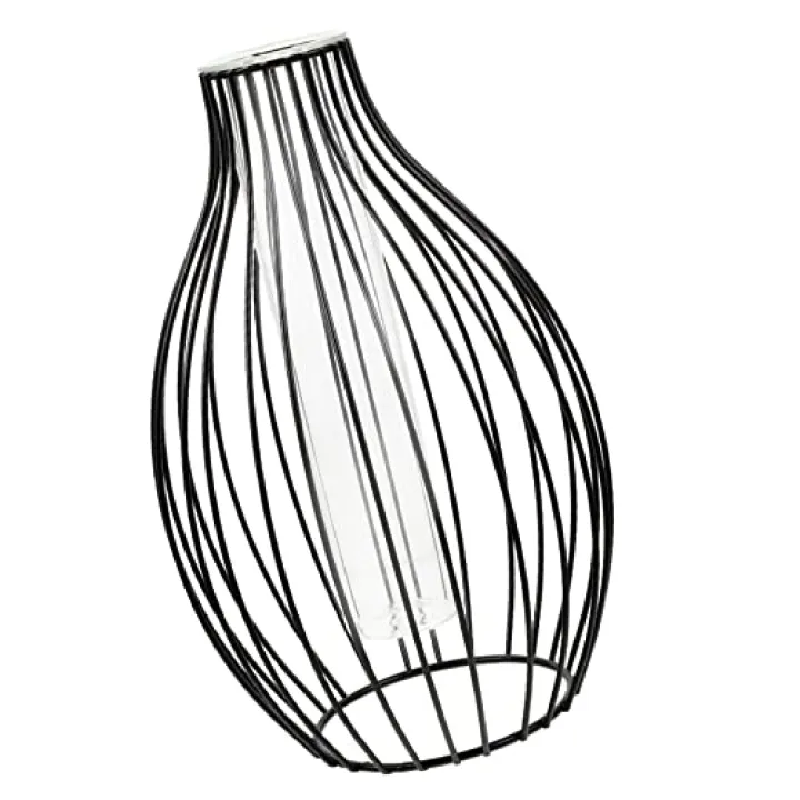 PRETYZOOM Black Iron Art Vase Hydroponic Planter for Home Decor Creative Flower Vase Glass for Plants Decor