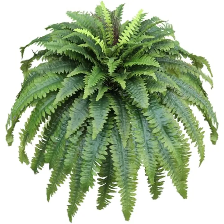 CongfuHepMui Large Artificial Ferns for Outdoor 48" Fake Boston Fern 60 Fronds Faux Ferns Plant Silk Greenery for Indoors Home Garden Porch Windowsill Decor (1 Stem)